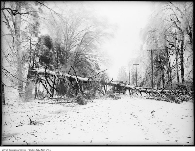 Storm photos, Dixie sideroad blocked by fallen tree, S. J. Burnamthorpe. - March 31, 1926