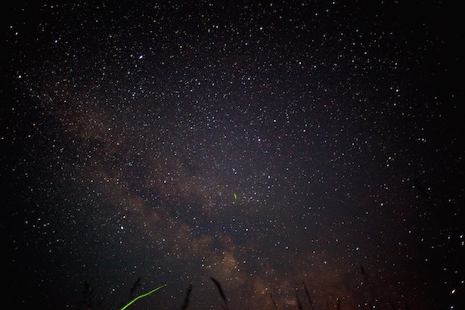 Georgian Bay Grundy Lake stars