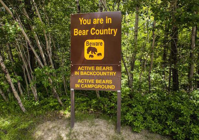 Georgian Bay camping bear sign