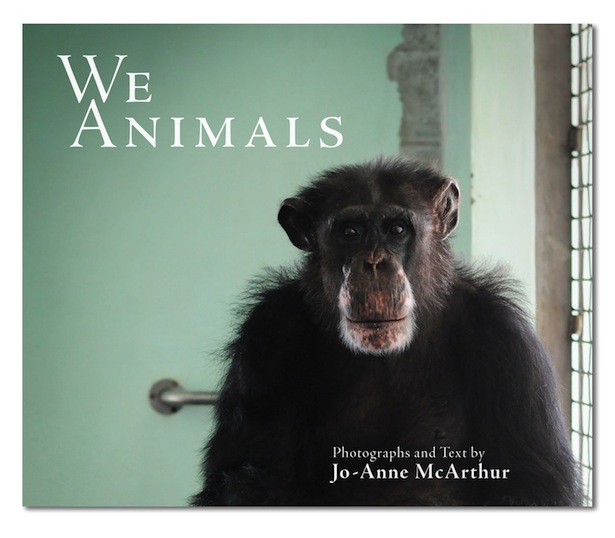 We Animals Book Cover