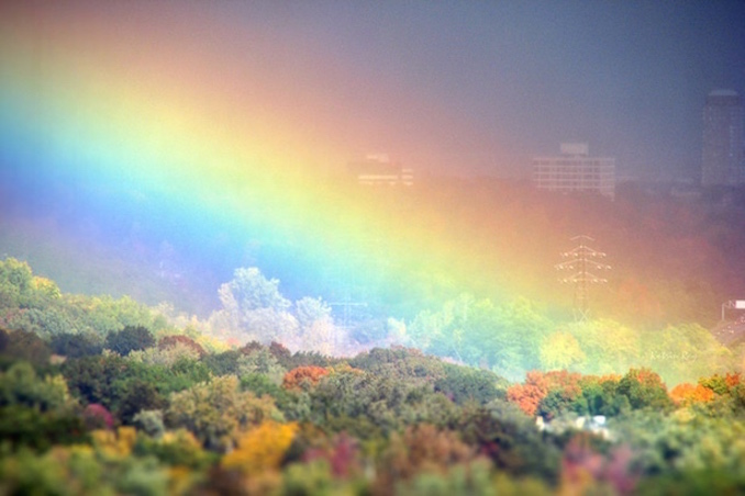 Toronto Rainbow
