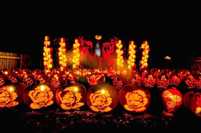 The Great Ontario Pumpkin Festival Guide