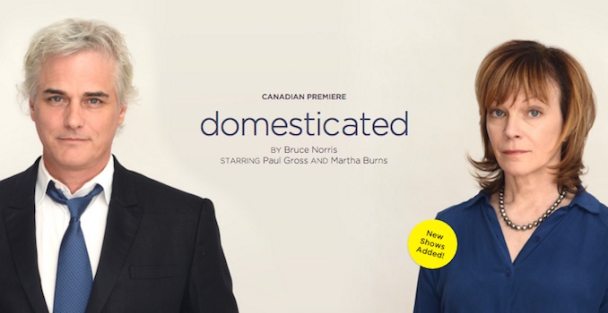 Domesticated with Paul Gross, Theatre review