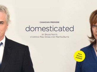 Domesticated with Paul Gross, Theatre review