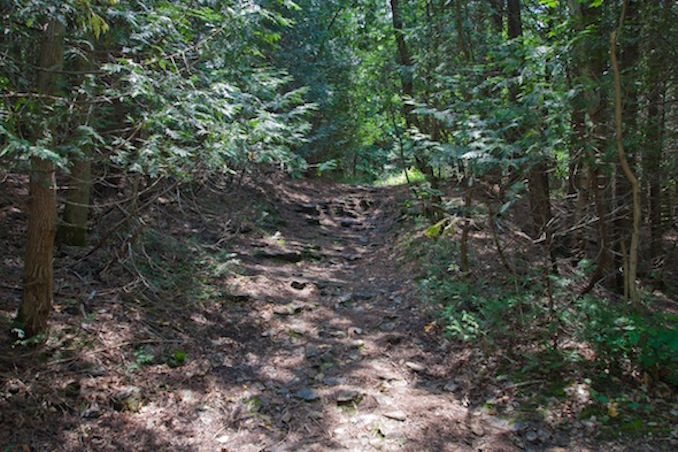 Elora Gorge conservation area