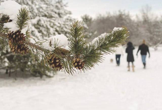 Evergreen Brickworks - Romantic Winter Dates