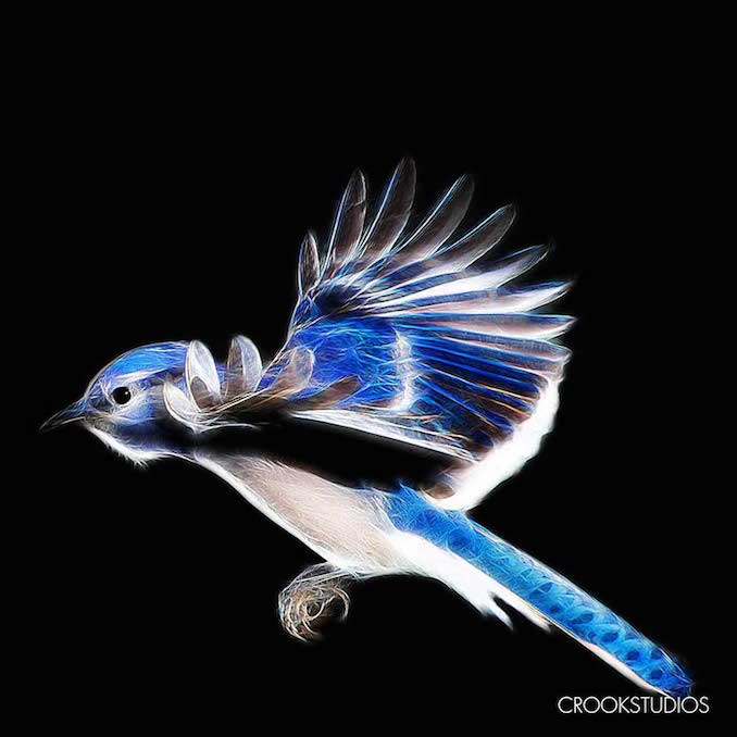 Blue Jay Landing Visual Effects