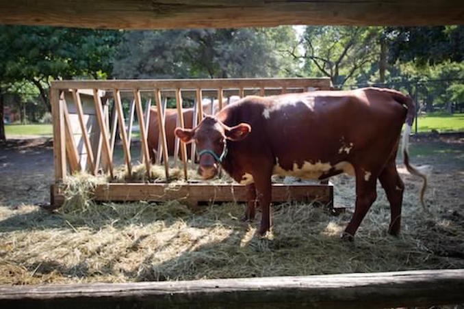 Riverdale Farm