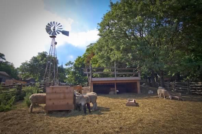 Riverdale Farm Toronto