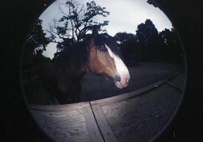 Riverdale Farm Toronto