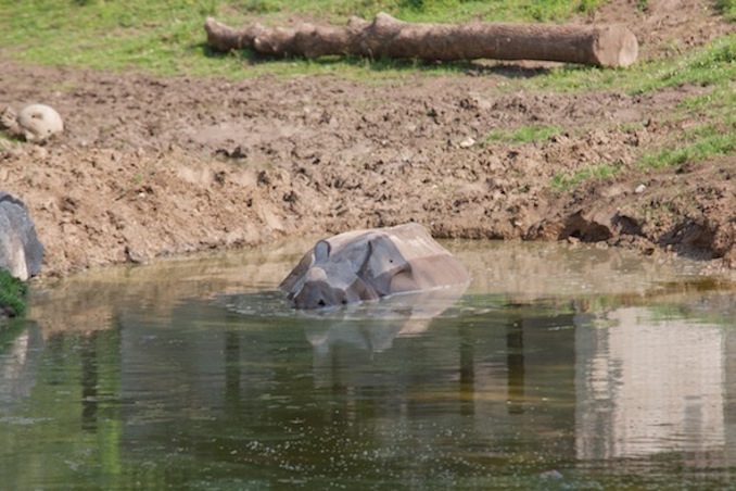 Toronto Zoo