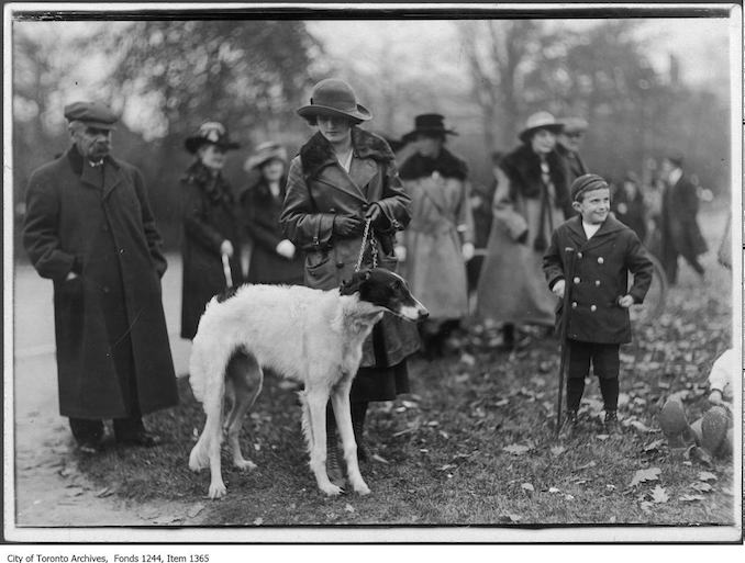 Aviatrix Miss Cassidy at Victory Bond Rally, Queen's Park. - [1915?] - Vintage Animal Photographs