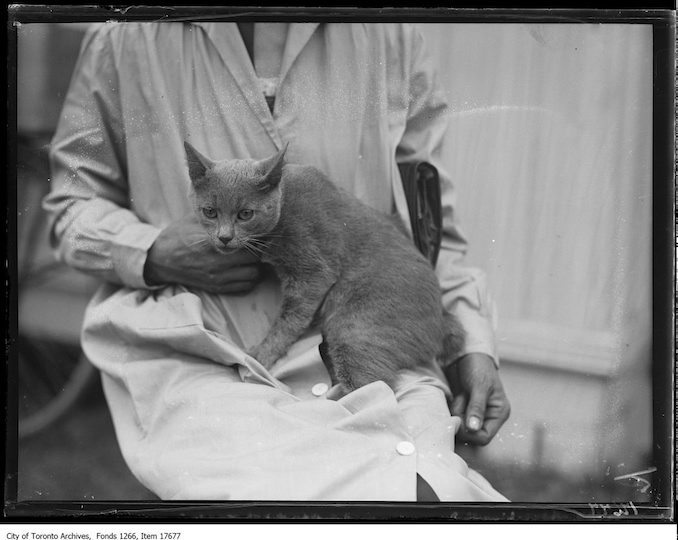 CNE, cat show, Bunny Findlay, Mrs. Bessie Fischer, Detroit. - August 27, 1929