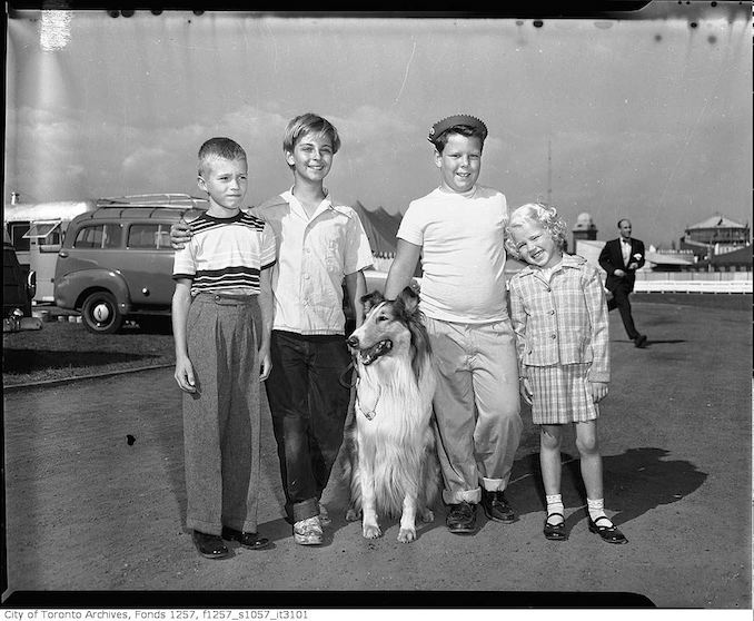 Children of William Albert %22Bill%22 Harris with Lassie at the CNE 1955