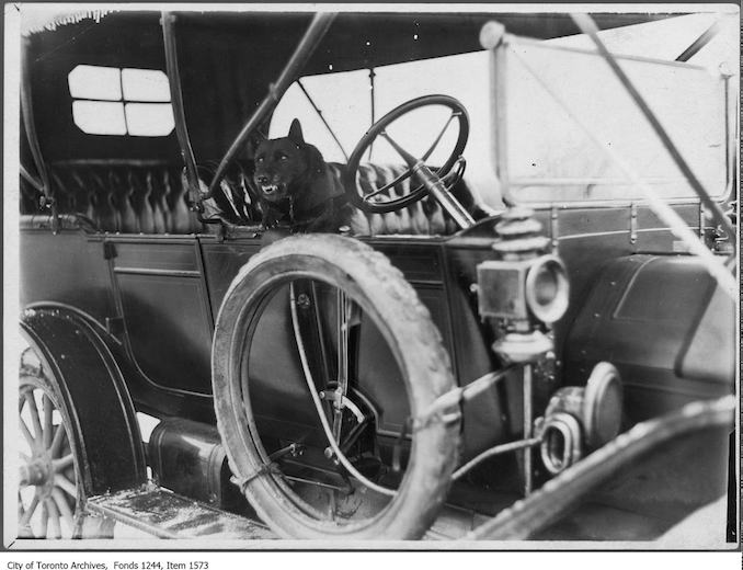 Dog guards open touring car. - [1912?]