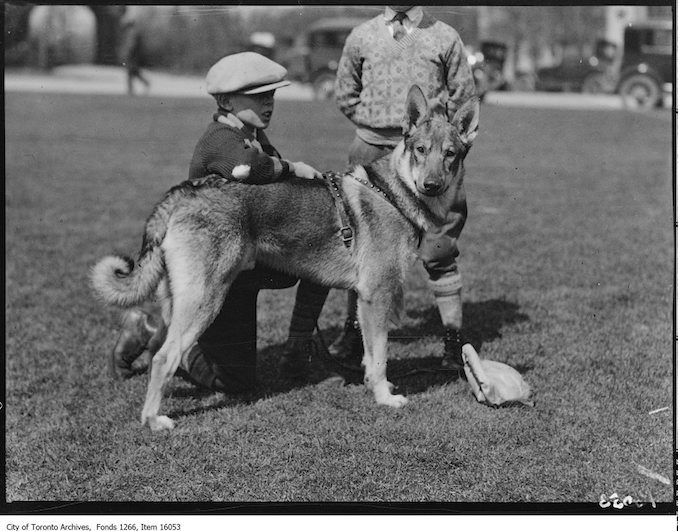 Pets Parade, Duke, Charlie Roberston, age 11. - April 2, 1929