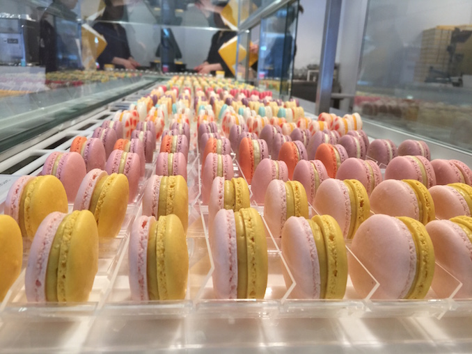 Macaron Day Toronto