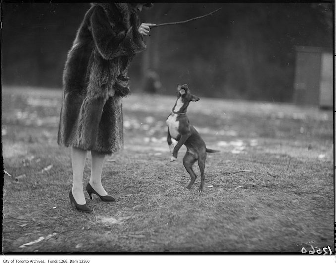 J. H. Boyd, dog "Tinker" on hind feet. - January 22, 1928