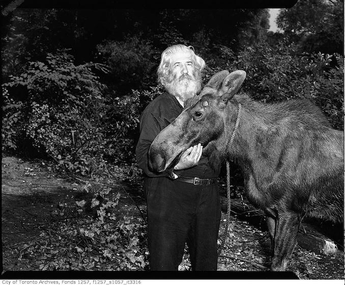 Joe La Flamme, The Moose Man with moose 194?