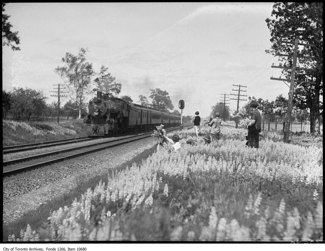 Lorne Park, girls gathering lupine, train passing. - June 12, 1927