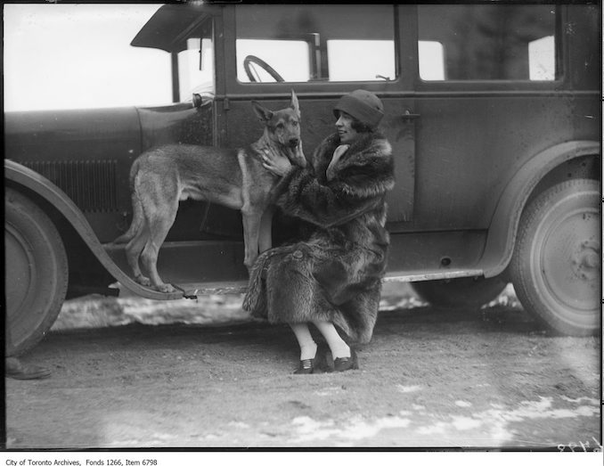 M. Laing & MacIntyre police dog, car. - December 13, 1925