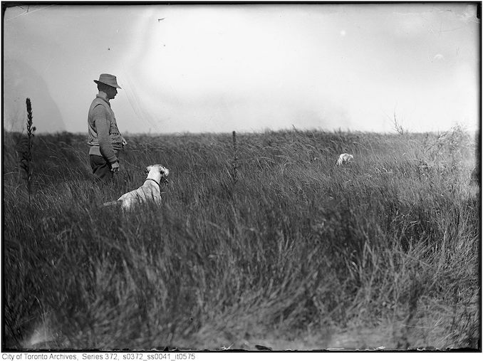 Mr. Townsend and Sport (dog) Original negative by A.S. Goss 1911 - Vintage Animal Photographs