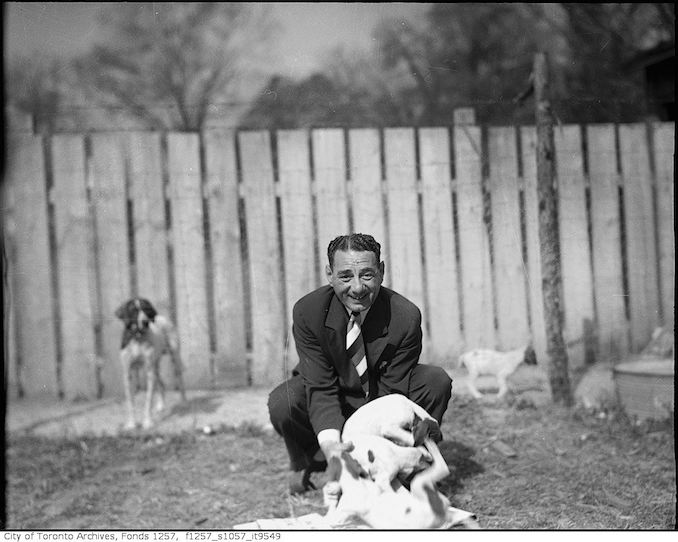 Nat Turofsky with dogs 1935-55 - Vintage Animal Photographs