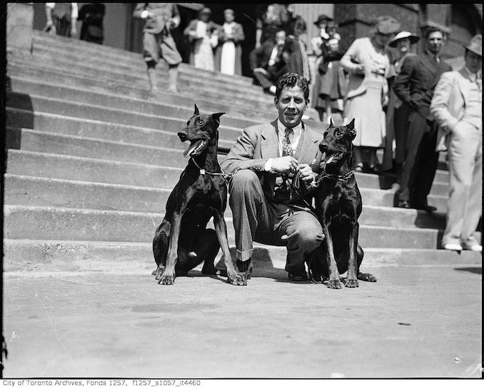 Rudy Vallee, with two dogs 193? - Vintage Animal Photographs