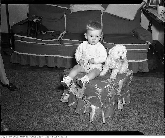 TTommy Lytle, grandson of Andrew G. Andy Lytle, with a dog 195? - Vintage Animal Photographs