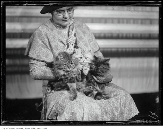 Winter Fair - woman holding three kittens - November 20, 1930 - Vintage Animal Photographs