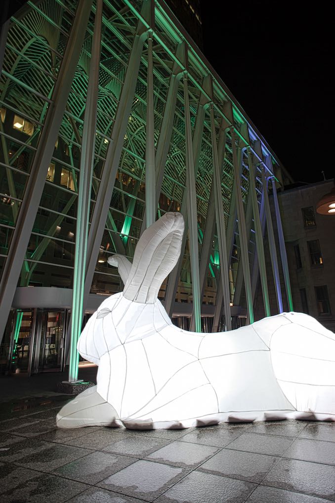 Giant Rabbits in Toronto