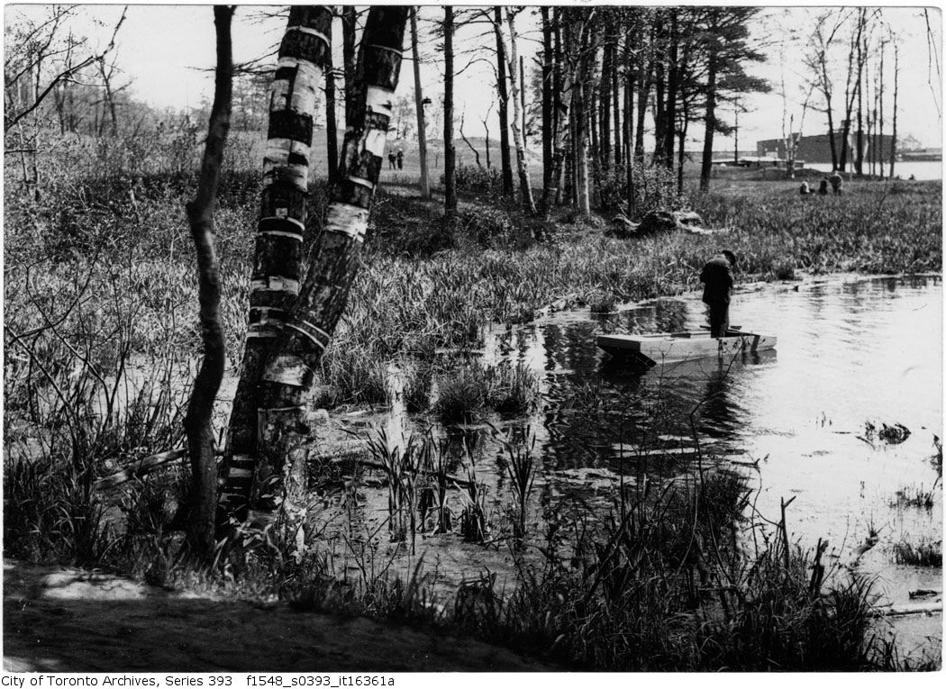 1920 - June 29 -Fishing - man in punt - Grenadier Pond - Vintage Fishing Photographs