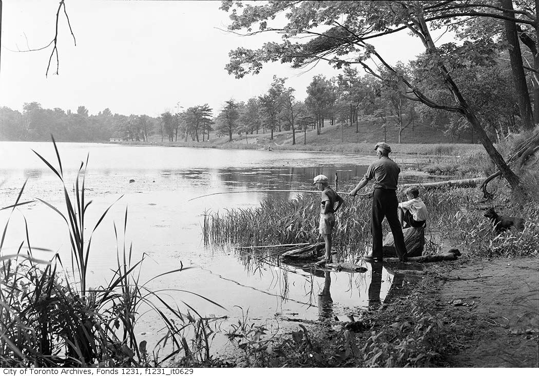 1939 - July - Fishermen in Grenadier Pond, High Park - Vintage Fishing Photographs
