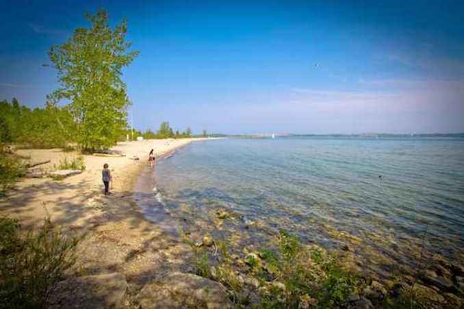 ward's island beach Swimming Beaches