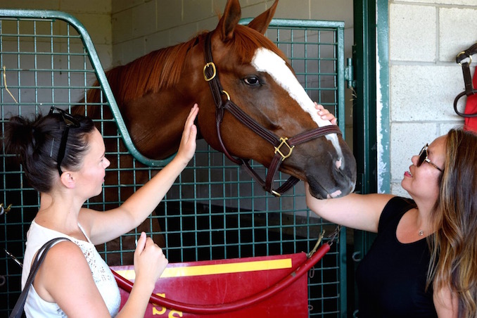 Woodbine Racetrack by Will Wong - Toronto With Kids