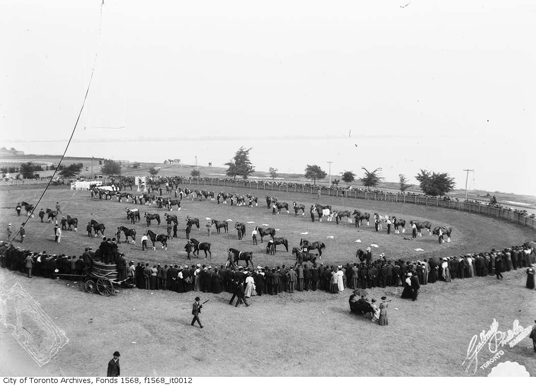 1904 - Canadian National Exhibition prize horse parade