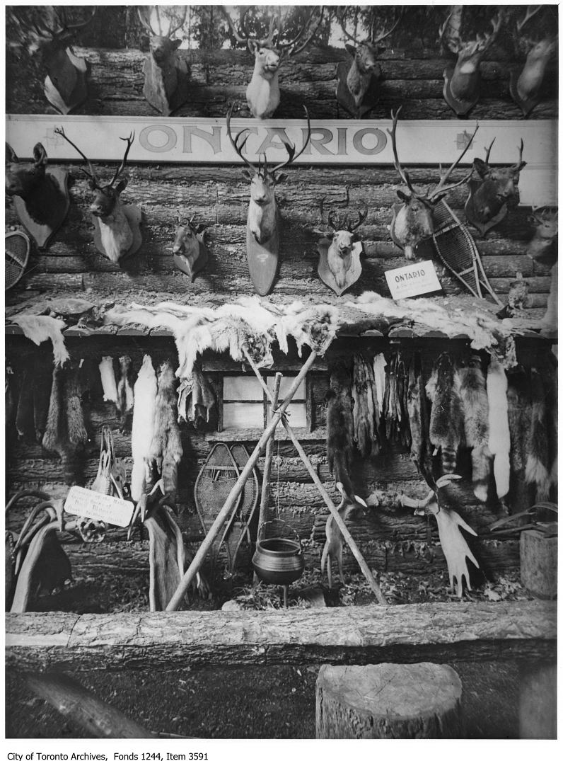 1920 - Ontario Department Of Game and Fisheries game exhibit, CNE copy