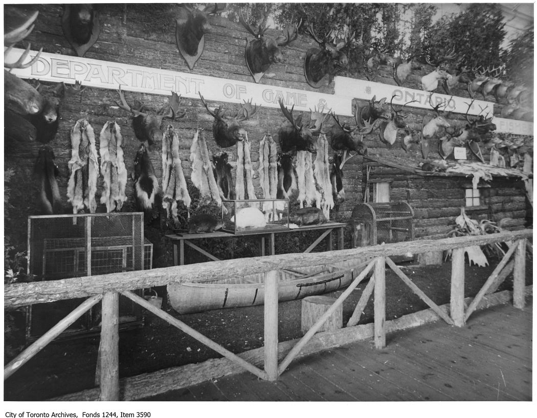 1920 - Ontario Department Of Game and Fisheries game exhibit, CNE