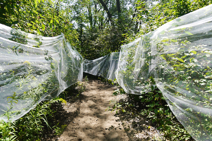 Clouded Passage Installation. Photo credit: William Bembridge