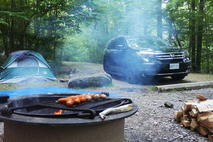 Camping in the Allegheny National Forest - Pennsylvania road trip