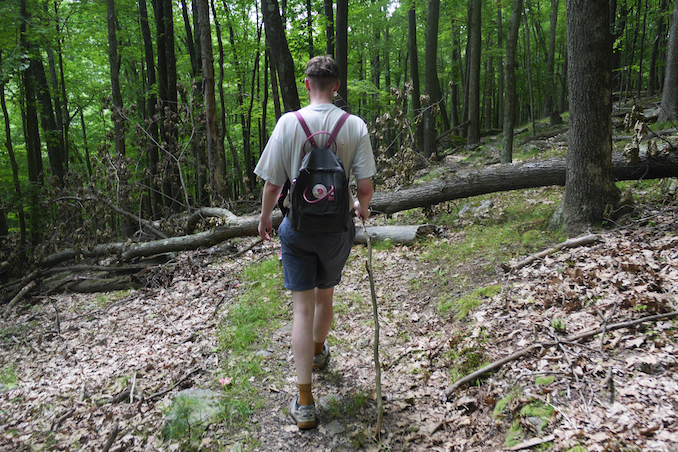 Morrison Trail and Rim Rock - Pennsylvania road trip