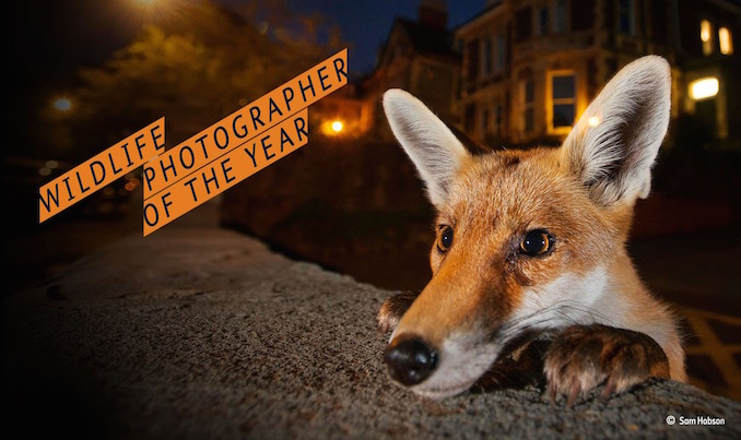 Wildlife Photographer of the Year Exhibition Coming to the ROM
