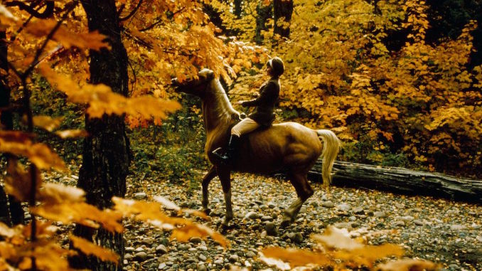 1965-69-horseback-riding-near-stables-wilket-creek-park-book-4-photo-12-copy