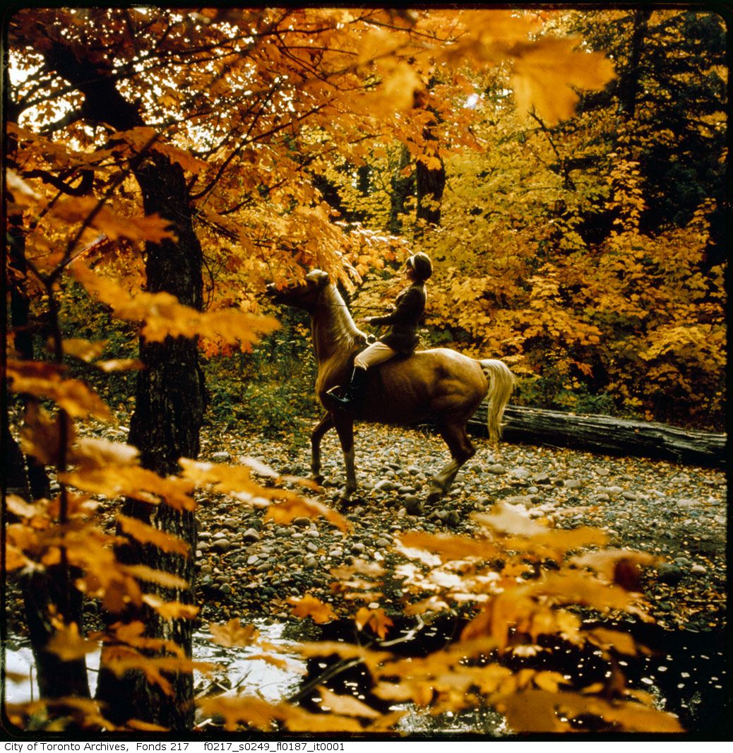 1965-69 - Horseback Riding Near Stables, Wilket Creek Park - Book 4, Photo 12 - Vintage Autumn Photographs