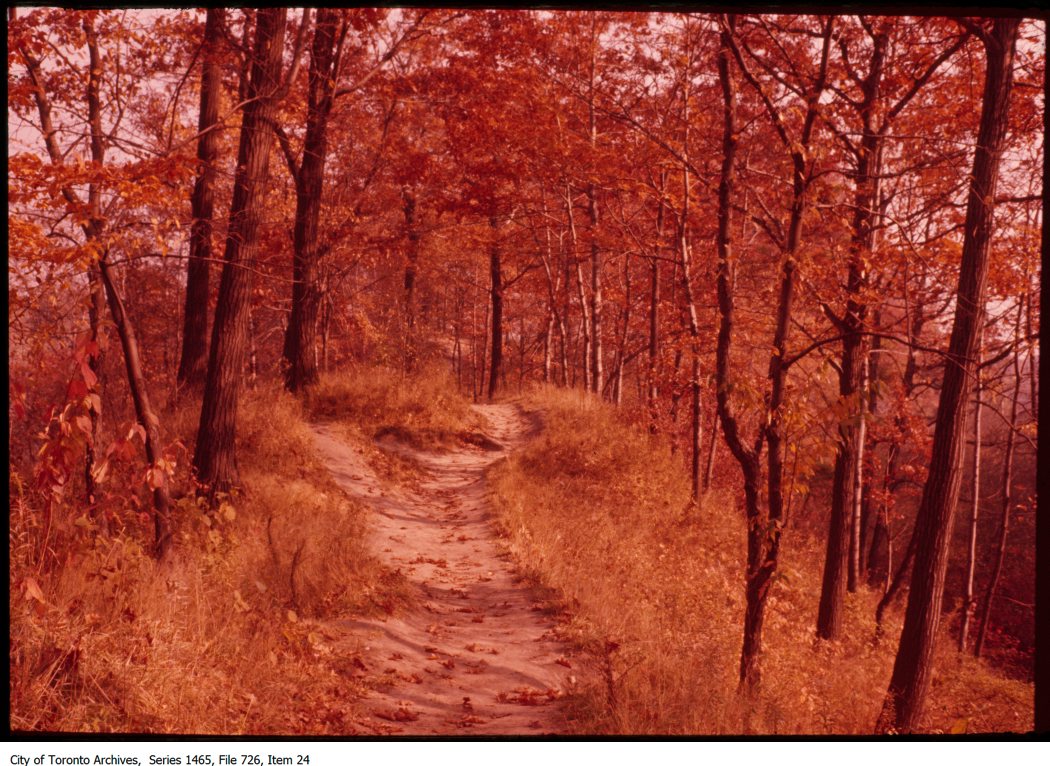 1970-87 - Park path in autumn