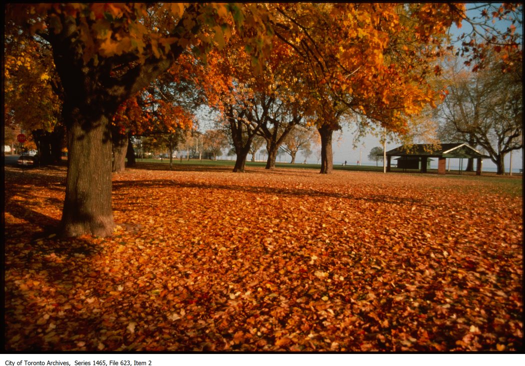 1980-99 - Unidentified waterfront park