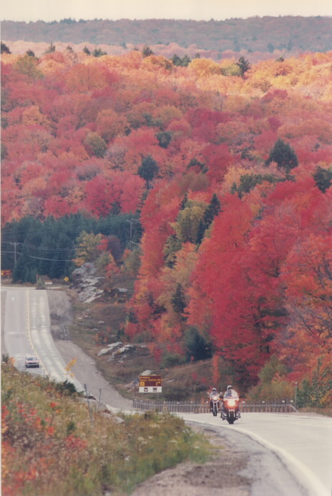 1986 - Scarlet of the maples