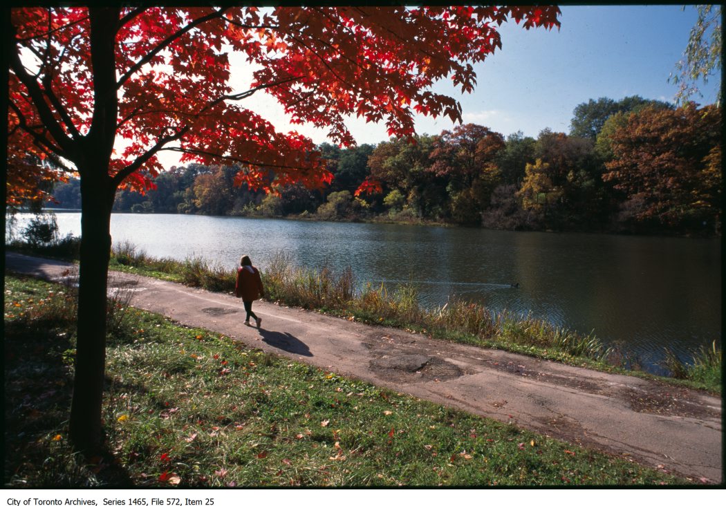 1987-95 - Grenadier Pond