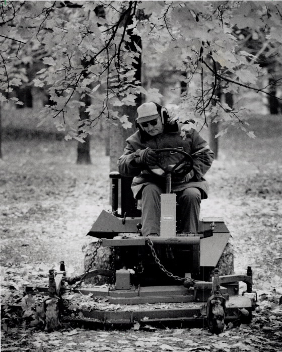 1992 - Aldo Vretenar of the city's department of parks is busy crushing the leaves that have fallen early this year in High Park so that they turn into fertilizer during the winter months