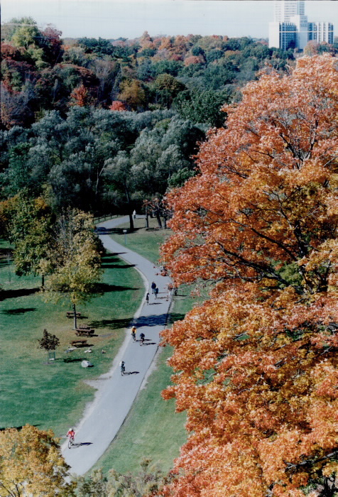 1993 - Seena Gundy Park